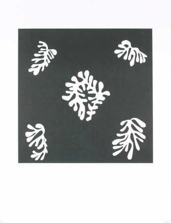Voile De Calice Noir, 1950 by Henri Matisse Pricing Limited Edition Print image