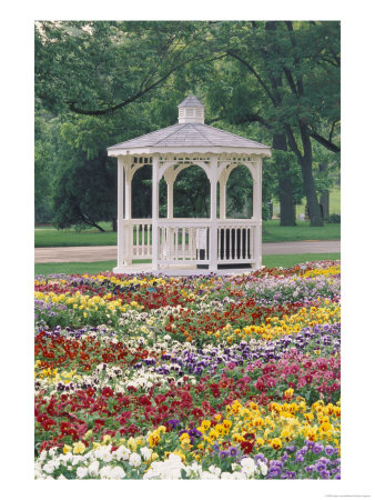Patchwork Of Pansies And Gazebo, Columbus, Ohio, Usa by Adam Jones Pricing Limited Edition Print image