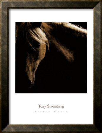 Spirit Horse by Tony Stromberg Pricing Limited Edition Print image