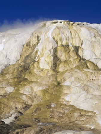 Canary Spring, Mammoth Hot Springs, Yellowstone National Park, Wyoming, Usa by Adam Jones Pricing Limited Edition Print image