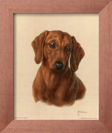 Miniature Dachshund by Judy Gibson Pricing Limited Edition Print image