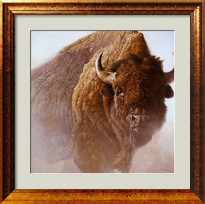 Chief by Robert Bateman Pricing Limited Edition Print image