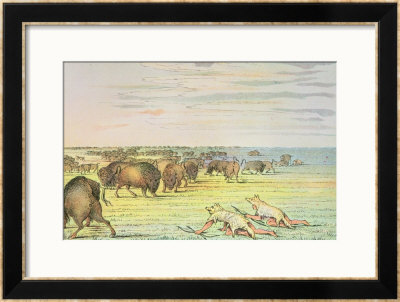 Stalking Buffalo by George Catlin Pricing Limited Edition Print image