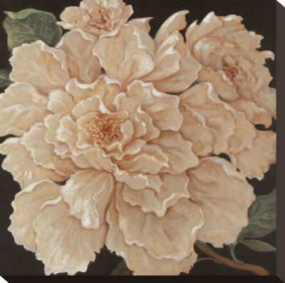 Ivory Peonies by Janet Kruskamp Pricing Limited Edition Print image