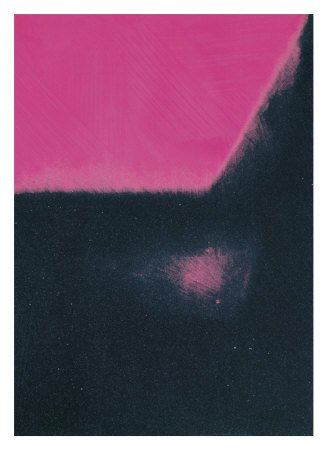 Shadows I, C.1979 (Black And Pink) by Andy Warhol Pricing Limited Edition Print image