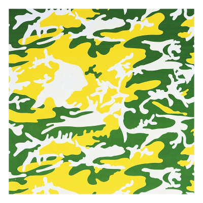 Camouflage, C.1987 (Green, Yellow, White) by Andy Warhol Pricing Limited Edition Print image