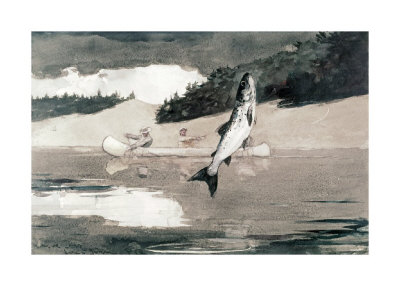 Flying Fish On Lake John by Winslow Homer Pricing Limited Edition Print image