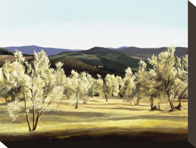 Olive Grove At The Villa by Helen Vaughn Pricing Limited Edition Print image