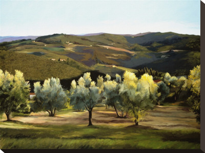 Olive Grove In Italy by Helen Vaughn Pricing Limited Edition Print image