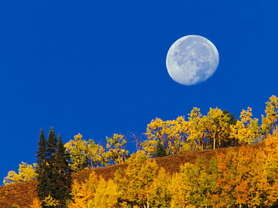 Moon Setting At Sunrise, Gunnison National Forest, Colorado, Usa by Adam Jones Pricing Limited Edition Print image