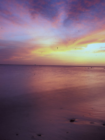 Arashi Beach, Aruba, Caribbean by Robin Hill Pricing Limited Edition Print image