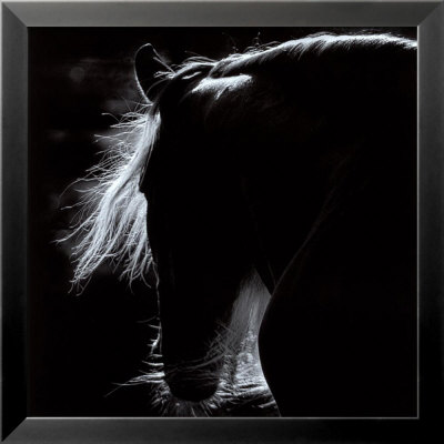 Mane by Tony Stromberg Pricing Limited Edition Print image