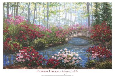 Cypress Dream by Mary Schaefer Pricing Limited Edition Print image