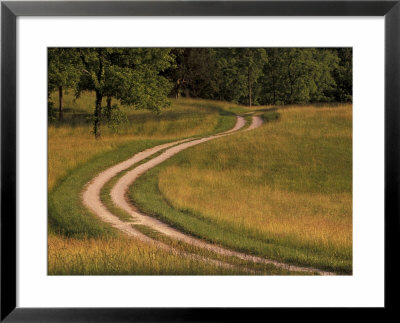 Road Winding Through Meadow, Kentucky, Usa by Adam Jones Pricing Limited Edition Print image