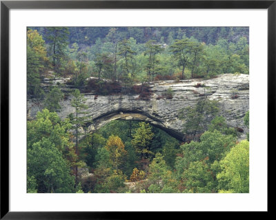 Natural Arch, Daniel Boone National Forest, Whitley City, Kentucky, Usa by Adam Jones Pricing Limited Edition Print image