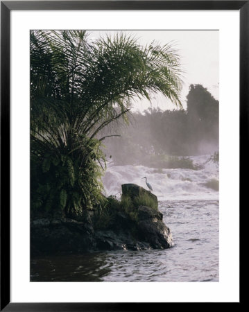 Chutes De La Lobe, Kribi, West Coast, Cameroon, Africa by David Poole Pricing Limited Edition Print image