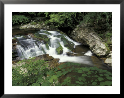 Cascade On Little River, Great Smoky Mountains National Park, Tennessee, Usa by Adam Jones Pricing Limited Edition Print image