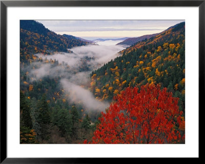 Autumn View Of Fog From Morton Overlook, Great Smoky Mountains National Park, Tennessee, Usa by Adam Jones Pricing Limited Edition Print image