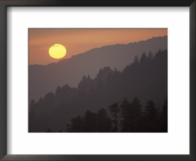 Sunset From Morton Overlook, Great Smoky Mountains National Park, Tennessee, Usa by Adam Jones Pricing Limited Edition Print image