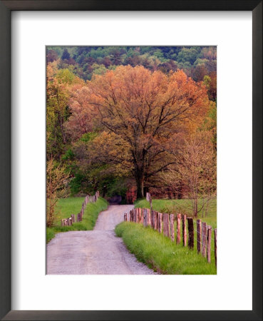 Sparks Lane, Cades Cove, Great Smoky Mountains National Park, Tennessee, Usa by Adam Jones Pricing Limited Edition Print image