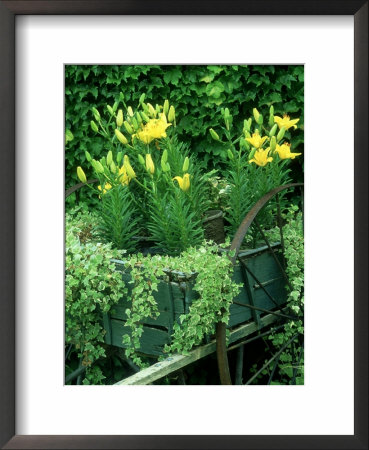 Wagon And Daylily Flowers, Los Angeles, Ca by Adam Jones Pricing Limited Edition Print image