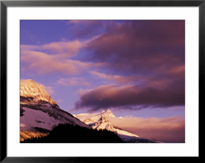 Misty Mountain Peaks At Sunrise, Yoho National Park, British Columbia, Canada by Adam Jones Pricing Limited Edition Print image