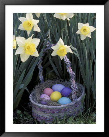Easter Basket Among Daffodils, Louisville, Kentucky, Usa by Adam Jones Pricing Limited Edition Print image