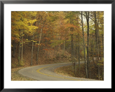Road Winding Through Autumn Colors, Pine Mountain State Park, Kentucky, Usa by Adam Jones Pricing Limited Edition Print image