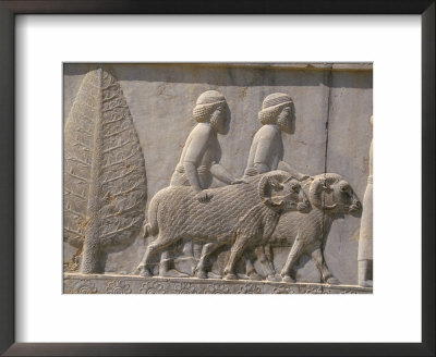 Carved Reliefs Of Rams From Asia Minor On The Apadana Palace Staircase, Persepolis, Middle East by David Poole Pricing Limited Edition Print image
