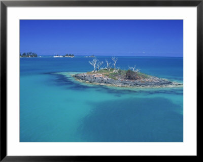 Azure Waters, Mangrove Lagoon by Robin Hill Pricing Limited Edition Print image