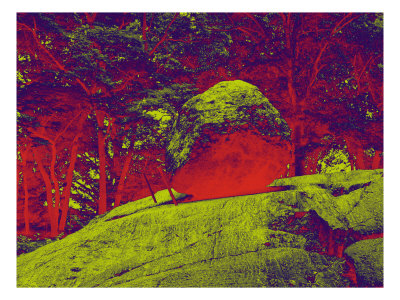 Enchanted Rock I by Miguel Paredes Pricing Limited Edition Print image