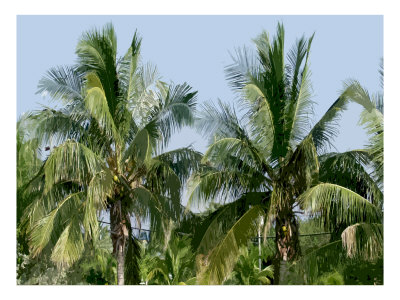 Tropical Palms Xv by Miguel Paredes Pricing Limited Edition Print image