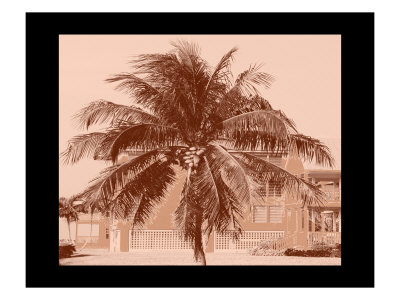 Tropical Palms Xvi by Miguel Paredes Pricing Limited Edition Print image