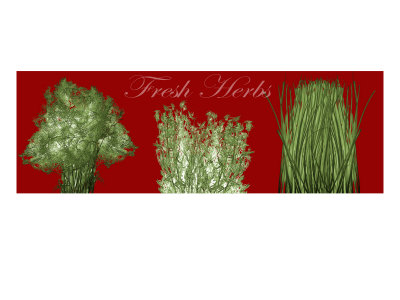 Fresh Herbs Ii by Miguel Paredes Pricing Limited Edition Print image