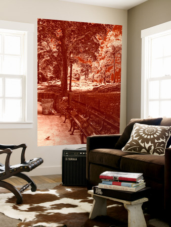 Red Forest I by Miguel Paredes Pricing Limited Edition Print image