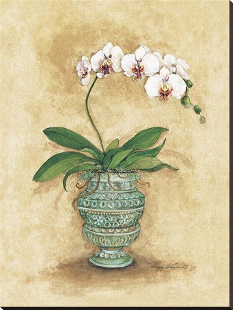 Classic Orchid Ii by Peggy Abrams Pricing Limited Edition Print image