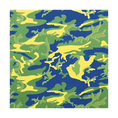 Camouflage, C.1987 (Green, Blue, Yellow) by Andy Warhol Pricing Limited Edition Print image