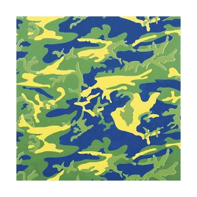 Camouflage, C.1987 (Green, Blue, Yellow) by Andy Warhol Pricing Limited Edition Print image