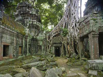 Strangler Fig Trees And Creeping Lichens Devour Ruins At Ta Prohm by Robert Clark Pricing Limited Edition Print image