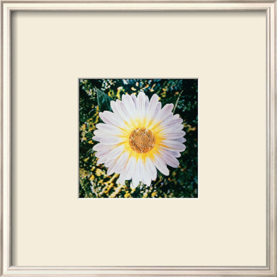 Daisy For Rain Machine Installation, C.1960-1980 by Andy Warhol Pricing Limited Edition Print image