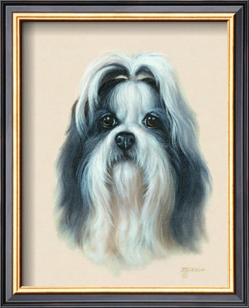 Shih Tzu by Judy Gibson Pricing Limited Edition Print image