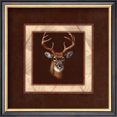 Deer Portrait by Judy Gibson Pricing Limited Edition Print image