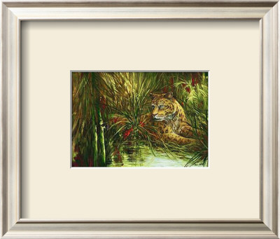 Leopard In Hiding by Jamie Carter Pricing Limited Edition Print image