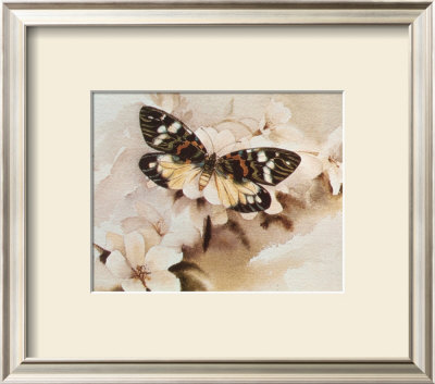 Butterfly by Rick Bennett Pricing Limited Edition Print image
