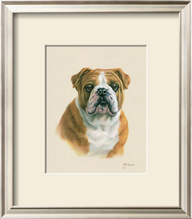 English Bulldog by Judy Gibson Pricing Limited Edition Print image