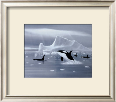 Orcas In Northern Waters by David Jean Pricing Limited Edition Print image