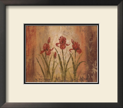 The Iris Style by Vivian Flasch Pricing Limited Edition Print image