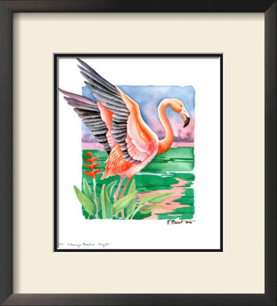 Flamingo Paradise Flight by Paul Brent Pricing Limited Edition Print image