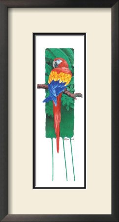 Scarlet Macaw by Paul Brent Pricing Limited Edition Print image