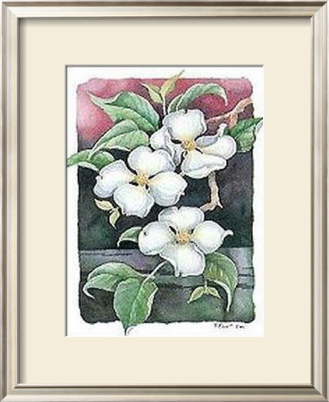 Dogwood by Paul Brent Pricing Limited Edition Print image